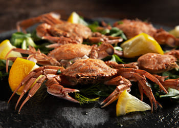 Lobster/Crab