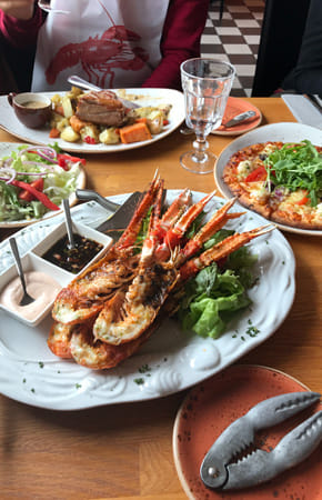 King Fish Exports